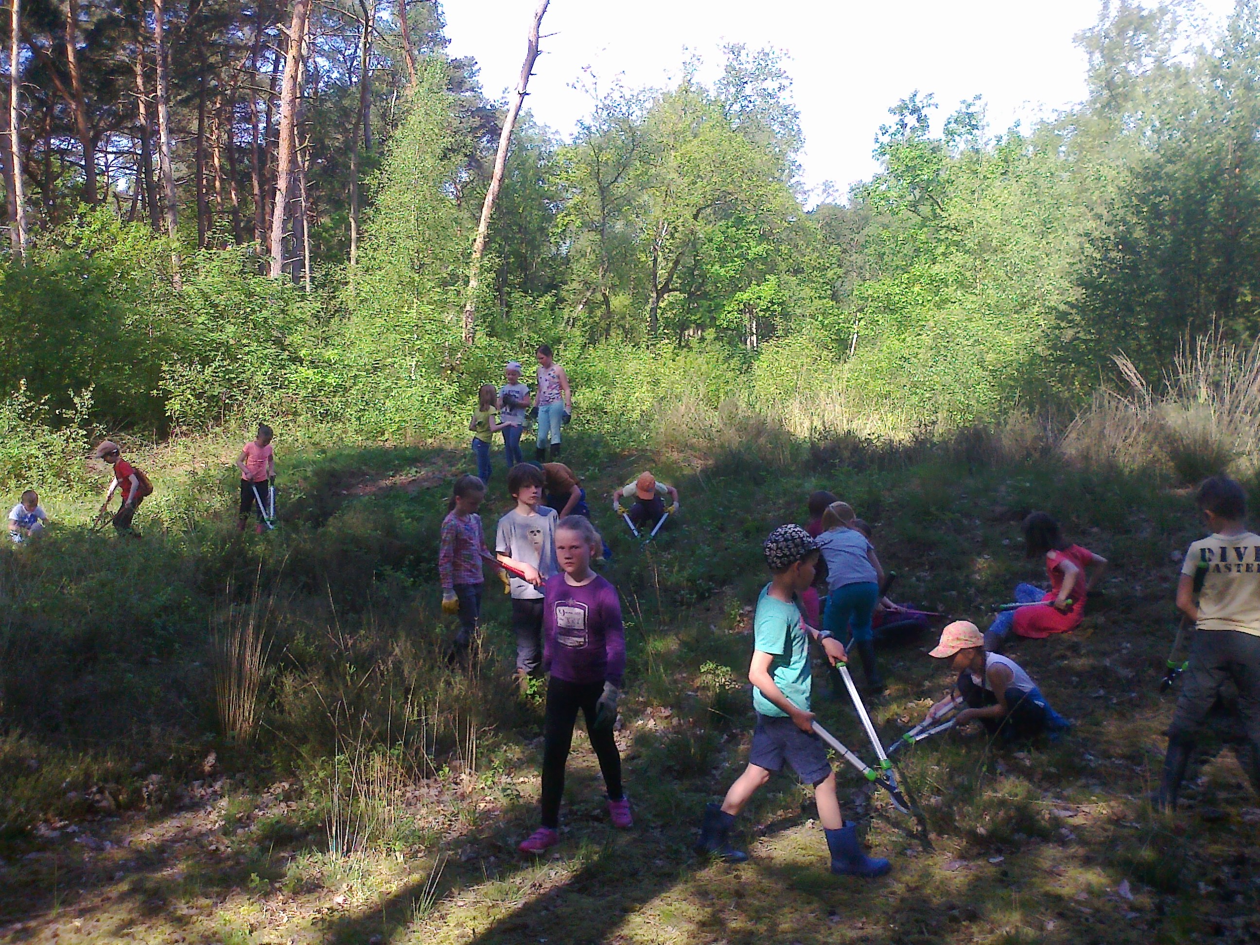 Werken in het Griesbroek samen met de mensen van Natuurpunt.